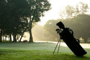 Golf bag resting on green grass with mist in the background.