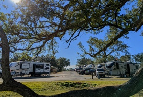 a view between the branches of a live oak tree of parked RVs and blue sky