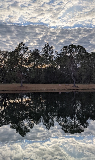 The reflection of trees and clouds on the lake at PRVP